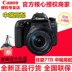 Canon Canon EOS 77D kit 18-135 18-200 ống kính chuyên nghiệp cấp SLR máy ảnh kỹ thuật số SLR kỹ thuật số chuyên nghiệp