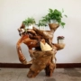 Elm gốc khắc khung tổng thể bonsai cây gỗ rắn gốc cây phòng khách gốc khắc trang trí nghệ thuật giá - Các món ăn khao khát gốc bộ bàn ghế bằng gốc cây