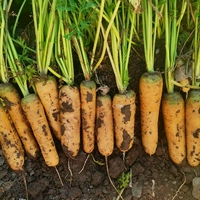 Оптовая цена более 10 мешков составляет 2 юаня