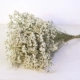 Хрустальный цветок оригинальный рис белый 1 галстук