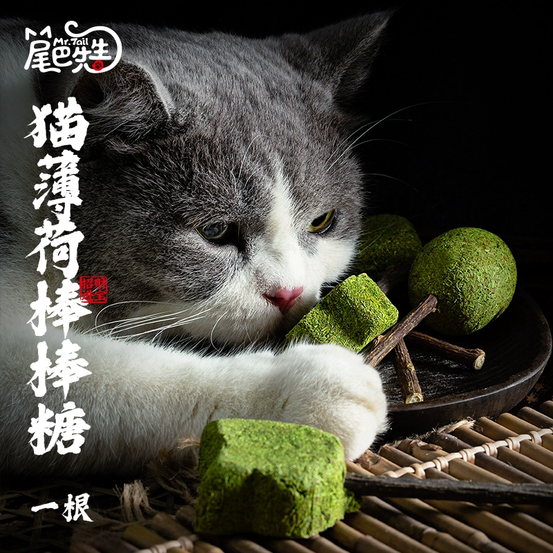 Bóng catnip của ông Tail, mèo trẻ, vui nhộn, hài hước, mèo, gỗ, ngày, đồ chơi, làm sạch răng, răng hàm, kẹo mút - Đồ ăn nhẹ cho mèo