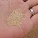 5 кот из кристаллического песка тонкие 0,5-1 миллиметра