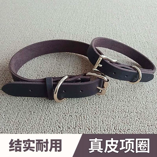 Темплохимическое кольцо собака средняя маленькая большая большая собачья кружковая шея кружок Педань Собаки Собаки, Золотые волосы на шейке