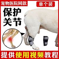 Перелома ноги собаки Фиксированная коррекция с шипами для питомца.