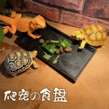 Маленькая черепаха пищевая диск имитация деревянная зерно пищевая тарелка пластиковая пищевая тарелка поднимается домашние животные, пить блюдо из блюда