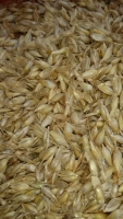 Пшеница с частицами пшеницы с оболочкой плавающей пшеницы 250 г
