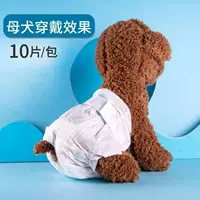 Девушка Бао S [4-10 Catties]