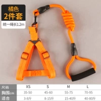 Набор двух частей скалолаза