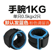 10 pound sức mạnh tập thể dục giày sắt thiết bị trọng lượng thiết bị chạy xà cạp giày có trọng lượng nảy túi cát phong trào - Taekwondo / Võ thuật / Chiến đấu