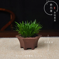 Шесть квадратных денег