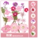 Вентилятор Dai Dry Flower Bag 18 штук
