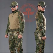 Quần áo ngoài trời trưởng bông crepe ngụy trang lực lượng đặc biệt đào tạo phù hợp với chiến thuật lục lạc phù hợp với chuyên nghiệp - Những người đam mê quân sự hàng may mặc / sản phẩm quạt quân đội