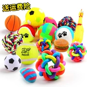 Pet puppy dog ​​toy ball vocal mol cắn đào tạo Bomei Akita chó con mèo đồ chơi vật nuôi - Mèo / Chó Đồ chơi