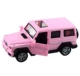 Большая коробка пластика Mercedes-Pink