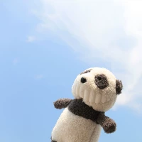 Большая Панда