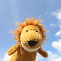 Большие зубы льва