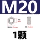 M20 [1 капсула] 2205 материал