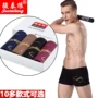 4 hộp quà tặng phiên bản Hàn Quốc của quần boxer nam cotton 100% cotton 4 góc thoáng khí đồ lót giữa eo thanh niên thể thao quần lót chữ c