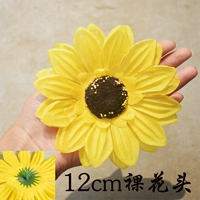 12см обнаженная голова