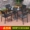 Bàn ghế ngoài trời sân vườn ngoài trời biệt thự gỗ bảo quản bàn ăn và ghế ban công quán cà phê nội thất gỗ bình thường - Đồ gỗ ngoài trời
