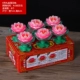 № 6 Lotus Green 1 коробка 6 капсул