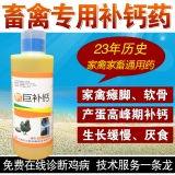 Зверя кормить добавки кальция и овечьей куриной утки, утки и гуся, полученных с мягкими яичными хрящами [гигантские добавки кальция]