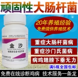 Ветеринарная медицина медицина курицы и домашняя аппарата, антидиаарная белая диарея. Уторожденная коленная болезнь Желто -белая диарея тянет разбавленные препараты [Пески]