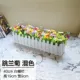 40 белый забор прыгающий орхидея хризантемамма