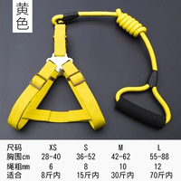 Желтый два -купюрный набор [сундук сзади+веревка]