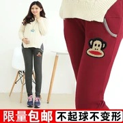 Bà bầu xà cạp cộng với nhung dày mùa đông mặc đồ thể thao cotton mùa thu chân mùa thu và quần nâng bụng mùa đông