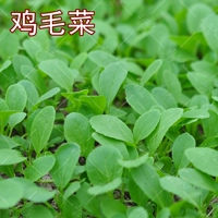 15G Оригинальная упаковка для куриных перьев × 10 упаковок