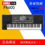 Ke Yin KORG PA600 âm nhạc điện tử tổng hợp sắp xếp bàn phím bàn phím PA300 nâng cấp đàn piano điện yamaha clavinova