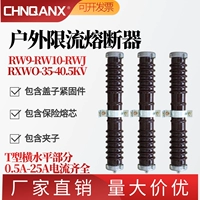 RW9/RW10/RXWO-35 кВ/0,5-1-2-10A Керамическая защита от PT Высоковольтный перелом потока 40,5 кВ