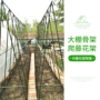 Làm vườn cung cấp thực vật đứng Hoa kệ leo leo khung khung nhà kính Rau vườn nhựa bọc nho nho - Nguồn cung cấp vườn thùng trồng rau thông minh