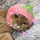 Маленькая клубничная голова