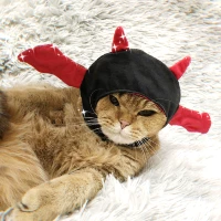 Темный маленький демон