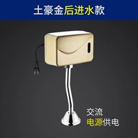 Местный местный золото, водный залив