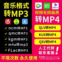 Video Converter Four -Myear Shop 17 Color Video Converter Software Format Qlv Kux QSV MOV MGG NCM KGM FLAC TO MP4 MP3
