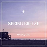 Wanna One -Chunfeng/Spring Breeze Leaching [Doopiano]