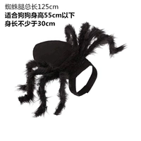 Новый паук L.