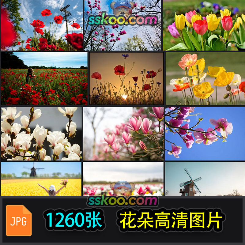 高清郁金香玉兰花虞美人花朵唯美花卉摄影特写4K图片照片壁纸素材