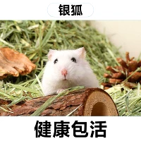 Серебряная Лиса