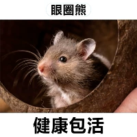 Медведь -Bears