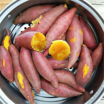 新鲜红薯农家沙地番薯香薯山芋黄心蜜薯板栗地瓜带箱9/5/2斤