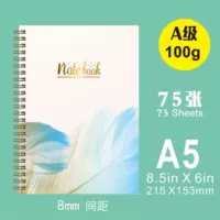 A5 Manual ledger (3)