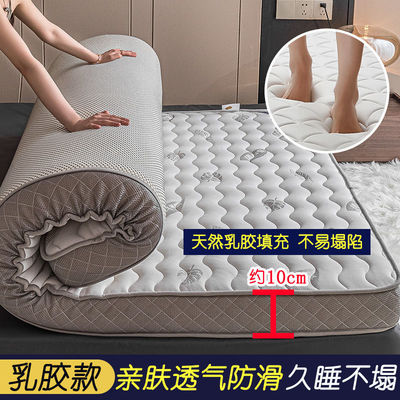 床垫乳胶软垫家用海绵垫宿舍学生单人租房专用褥子榻榻米地铺睡垫