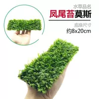 Феникс Мосомос 8x20