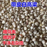 [2022新高粱白高粱带皮去壳白高粱米鸽子粮鸟粮鹦鹉仓鼠零食鸽饲料]