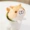 瓜 sản xuất Mặt dây chuyền nhỏ bằng gỗ tròn sang trọng hoạt hình dễ thương Túi Shiba Inu treo đồ trang trí búp bê hoạt hình xung quanh những sticker cute