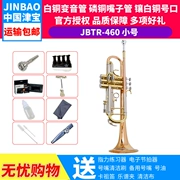 Jinbao nhỏ nhạc cụ kiểm tra hiệu suất phân loại nhỏ phốt pho vật liệu đồng giai điệu ánh sáng thả B giai điệu JBTR-460 - Nhạc cụ phương Tây